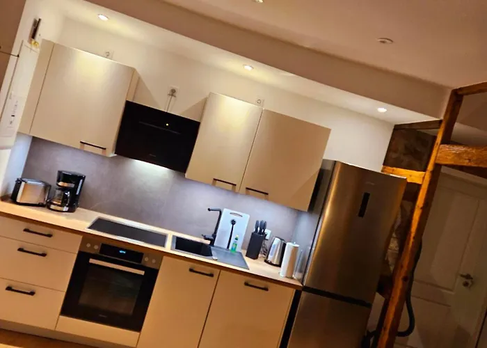 公寓 Ackerbuergerhaus 戈斯拉尔