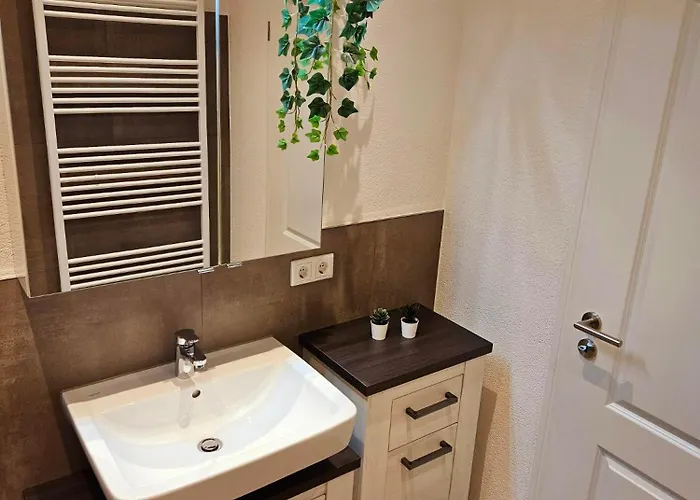 Ackerbuergerhaus * 戈斯拉尔